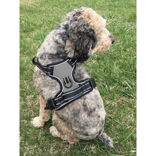 Buy cheap No Pull No Choke Dog Harness With 3 Snap Buckles from wholesalers