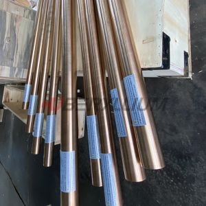 Beryllium Copper Rod C17200 ASTM B196 TD04 Temper Dia 30mmx1000mm