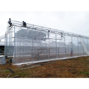 Buy cheap 200micron PE Film Ventilation System Greenhouse High Security Weather Proof from wholesalers