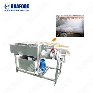 Automation Modernization Potato Washing Commercial Fruit Drying Machine Salad