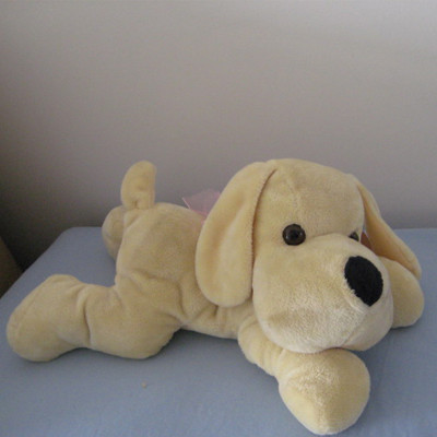 Quality Plush dog toys for sale