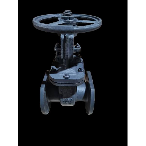 Quality Bolted Bonnet Cast Iron Gate Valves Brass Trim Suitable for Water Medium Ensuring Long Term Durability and Efficiency for sale