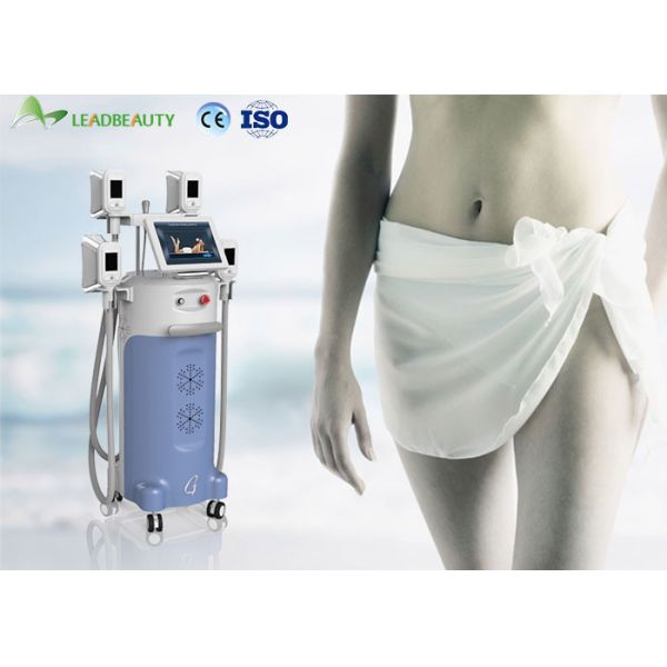 Quality 1000W Output Power Cryolipolysis Fat Freeze Slimming Machine For Fat Reducing for sale