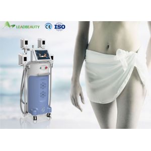 Buy cheap 1000W Output Power Cryolipolysis Fat Freeze Slimming Machine For Fat Reducing from wholesalers