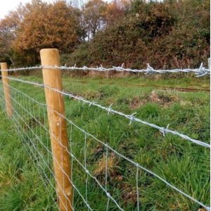 Hot sell high quality 14x14 16x14 galvanized barbed wire