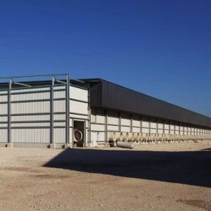 Fire-Retardant High-Span Steel Warehouse Buildings No Permanent Foundation