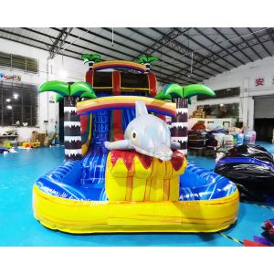 Buy cheap Jumping Bouncer Outdoor Inflatable Water Slides For Kindergarten from wholesalers