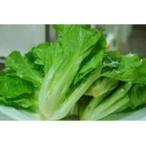 Buy cheap Container House for Leafy Vegetable Cultivation Hydroponics Cultivation Technology from wholesalers