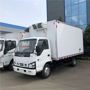 Buy cheap 5 TONS ISUZU 600P FREEZER TRUCK WITH THERMOKING FRIGERATOR UNIT -25 DEGREES from wholesalers