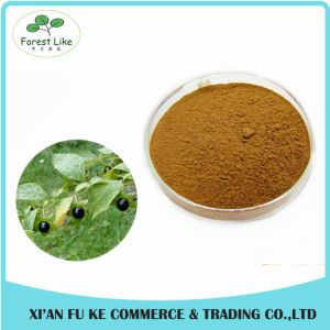 Buy cheap Atropa Belladonna Extract Powder Hyoscyamine 0.7% -1.5% from wholesalers