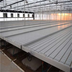 Buy cheap Nursery Seedbed 4x8 Flood Trays Tables Movable Rolling Bench Greenhouse Table System Cultivation from wholesalers
