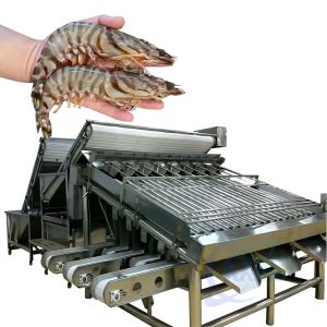 Buy cheap Seafood Shrimp Processing Classifier Automatic Fast Fish Shrimp Size Classifier Shrimp Production Line Screening Machine from wholesalers