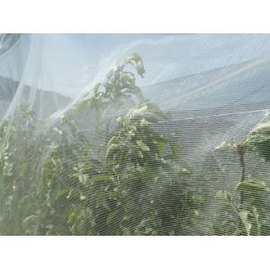 Buy cheap ANTI-INSECT NET with UV from wholesalers