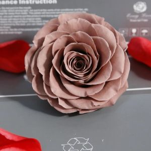 Buy cheap New Technique Preserved Rose Handmade Real Forever Giant Rose from wholesalers