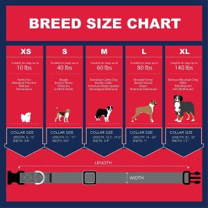 Buy cheap Durable Soft Nylon Dog Collar Quick Release Plastic Buckle Heavy Duty Zinc Alloy D Ring from wholesalers