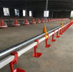 Customizable Automatic Feed Dispenser for Feeding Chicken Water