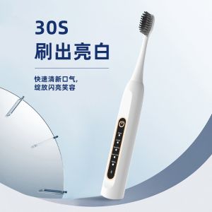 Food Grade ABS Sonic Rechargeable Electric Toothbrush Ultrasonic Tooth Cleaner