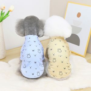 Teddy Dog Logo Pets Wearing Clothes Sublimation 20cm Custom Dog T Shirts