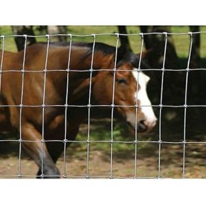 1.8mm / 2.0mm Hinge Joint Field Fence Long Lasting And Easy To Install