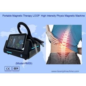 Pmst Loop Pemf Therapy Machine For Human Pain Relief Animals Health Care
