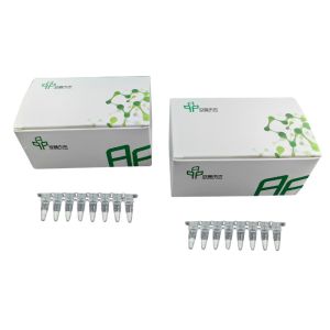 Buy cheap Basic RNA Amplification Kit Stable Easy Operate 14 Months Validity from wholesalers