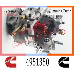 Buy cheap Cummins Diesel NT855 Engine Fuel Injection Pump 4951350 3074835 3646708 from wholesalers