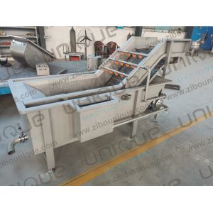 RQF Frozen Food Production Line Washing Sterilizing and Freezing in One Solution