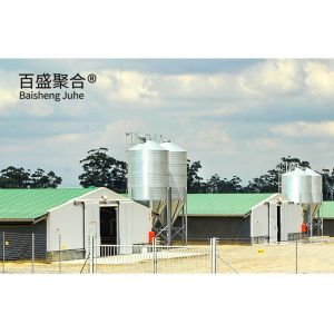 Buy cheap Multi Floor Large Scale Chicken Coop Shed Farm House Warehouse with Aluminum Alloy Window from wholesalers