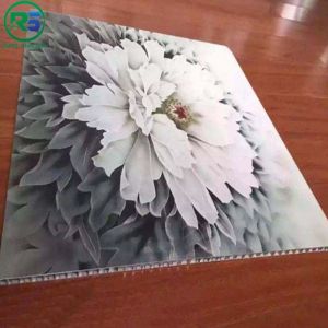 Buy cheap 3D Printing Pattern Alu Honeycomb Panels Decorative Aluminium Honeycomb Sandwich Panel from wholesalers