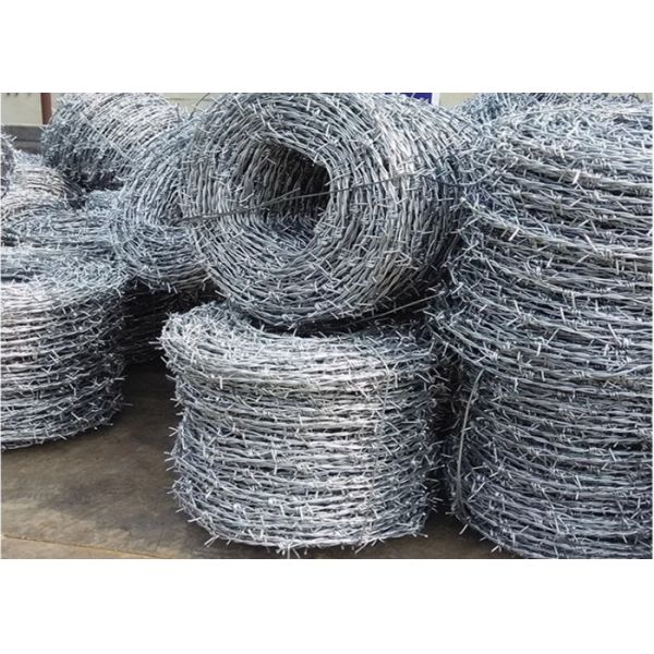 Quality SWG14XSWG16 Galvanized Barbed Wire for sale