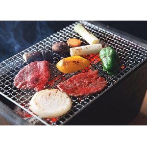 Buy cheap 1 . 0 mm Wire Diameter SS Crimped Woven Wire Mesh , BBQ Mesh Grill 0 . 8 MM Wire from wholesalers