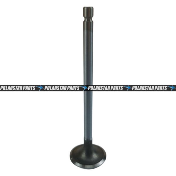 Quality Cummins Intake And Exhaust Valveslve NT855 Diesel Engine 145701 3803524 for sale