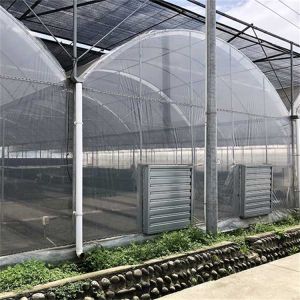 Buy cheap Strawberries Seedbed Nursery Multi Span Greenhouses with Inner Shading System from wholesalers