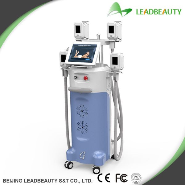 Buy cheap Vertical strong cooling system cryolipolysis slimming machine from wholesalers