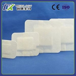 Buy cheap Self Adhesive Plaster Non Woven Wound Dressing Hemostatic Surgicel Dressing Dental from wholesalers