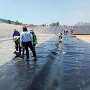 1m-8m Width HDPE Geomembrane Pond Liner for Mining Reservoir Dam Fish Pond