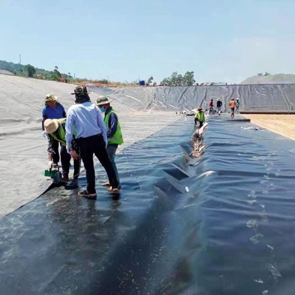 1m-8m Width HDPE Geomembrane Pond Liner for Mining Reservoir Dam Fish Pond