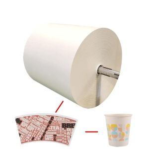 Buy cheap Eco Biodegradable Double Non-Plasitc Top Quality Double Side Hot Coffee Cup Material Paper Roll for Paper Product from wholesalers