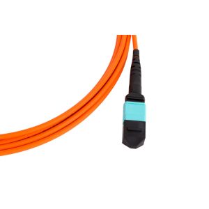 Buy cheap Multi Mode MTP To MTP Patch Cables Assembly Low Loss 12 / 24 Fibers ROHS Approval from wholesalers