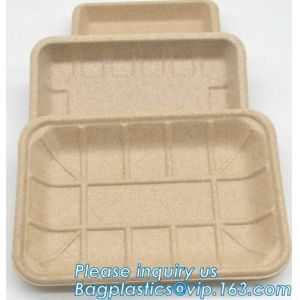FDA CERTIFICATE BIODEGRADABLE WHEAT STRAW PLATE, Dinner Plate Wheat Straw