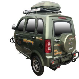 China Closed Hybrid 3 Wheel 65KM/H Motorized Passenger Tricycle on sale