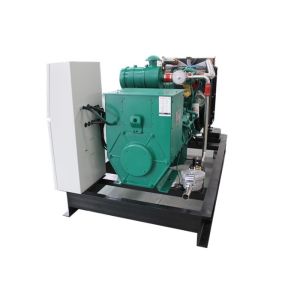 China Weatherproof 50HZ 230V Biogas CHP , Biogas Fuel CHP Heat And Power BHKW 25KW 30KVA on sale