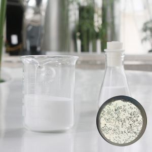 Buy cheap HN32 Hollow Glass Microspheres for Aviation Tooling Boards from wholesalers