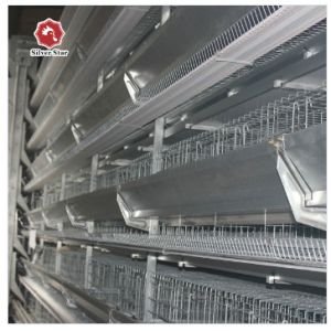 Silver Star Breeding H Type Broiler Cage 3 / 4 Layer Can Be Customized Chicken