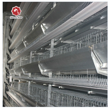Silver Star Breeding H Type Broiler Cage 3 / 4 Layer Can Be Customized Chicken