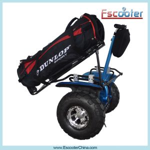 Buy cheap Nice Appearance Good driving electric scooter with pedals from wholesalers