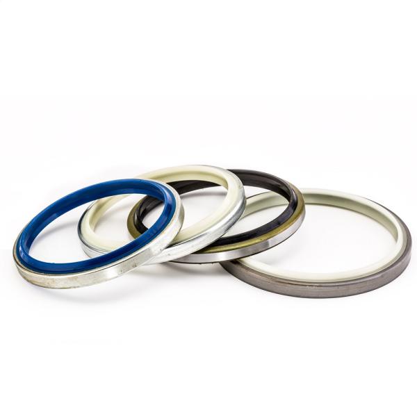 Quality Mechanical Hydraulic Dust Seal DKB DLI DLW For Machinery Repair Shops for sale