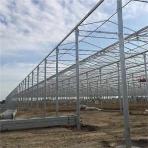 Buy cheap Glass Multi Span Greenhouse Tropical Solar Hydroponic Flower Vegetable Growing from wholesalers