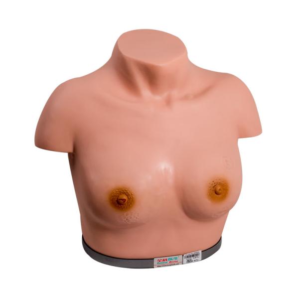 Buy cheap Inspection Palpation Breast Gynecologic Simulator For Training from wholesalers