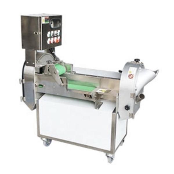 Highly Versatile Fruit and Leaf Vegetable Slice Machine with 220v/customized
